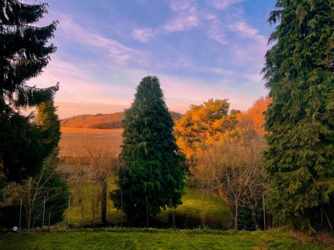 Property thumbnail image for Repton Road, Hartshorne
