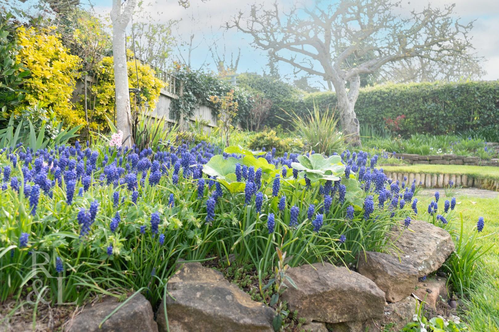 Property image for Mount Pleasant, Keyworth, Nottingham