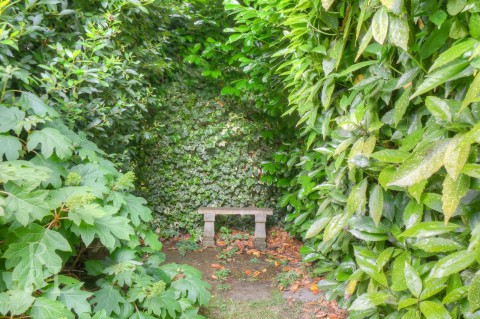 Property thumbnail image for Shelford Close, Beeston, Nottingham
