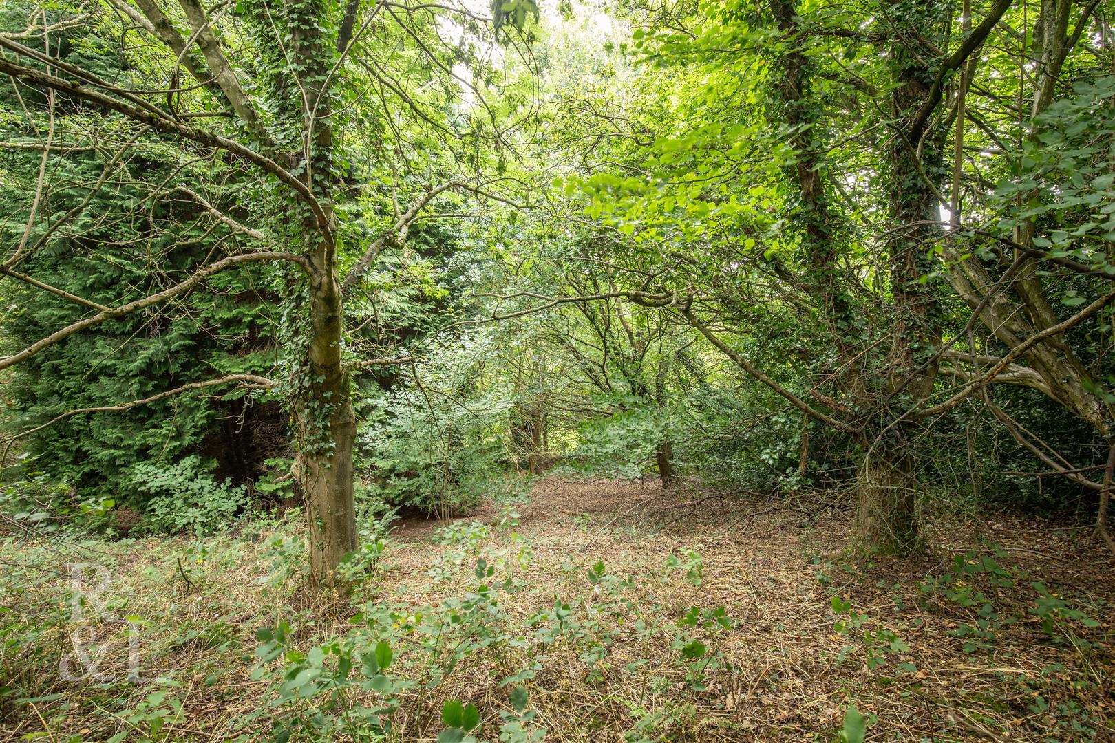 Property image for Church Lane, Swannington