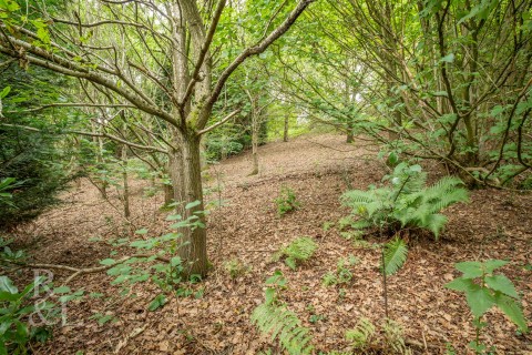 Property thumbnail image for Church Lane, Swannington