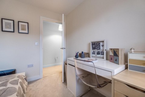 Property thumbnail image for Cornflower Close, Tamworth