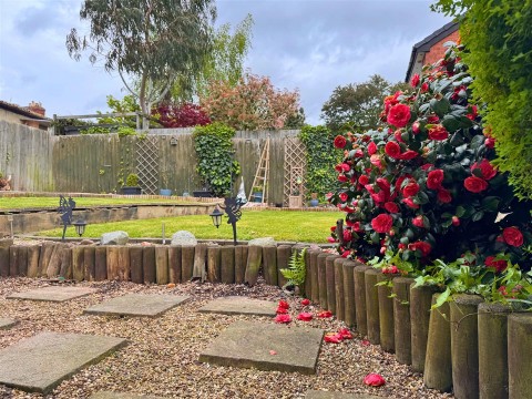 Property thumbnail image for Sycamore, Wilnecote, Tamworth