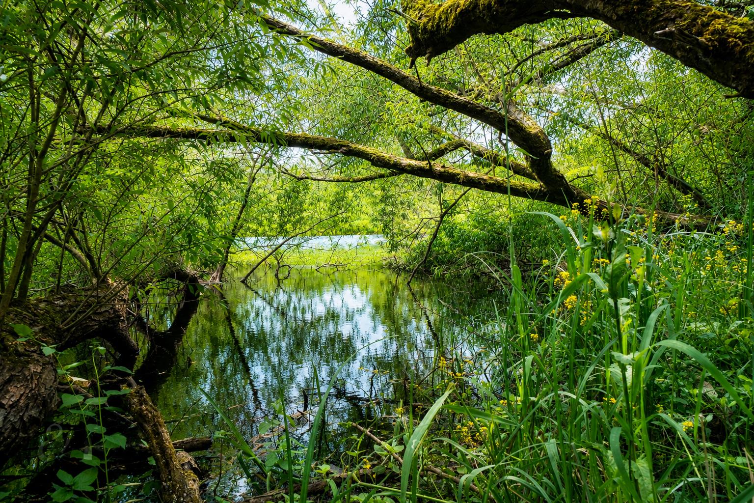 Property image for Valley Road, Radcliffe-on-Trent, Nottingham