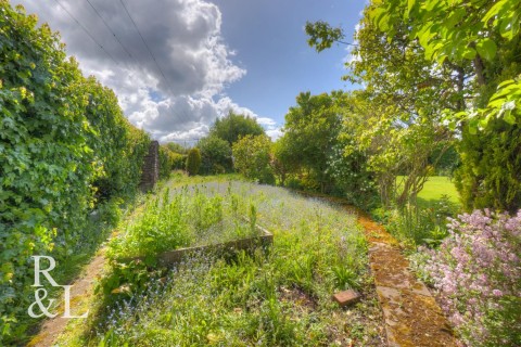 Property thumbnail image for Apple Tree House, Black Horse Hill, Appleby Magna, Swadlincote