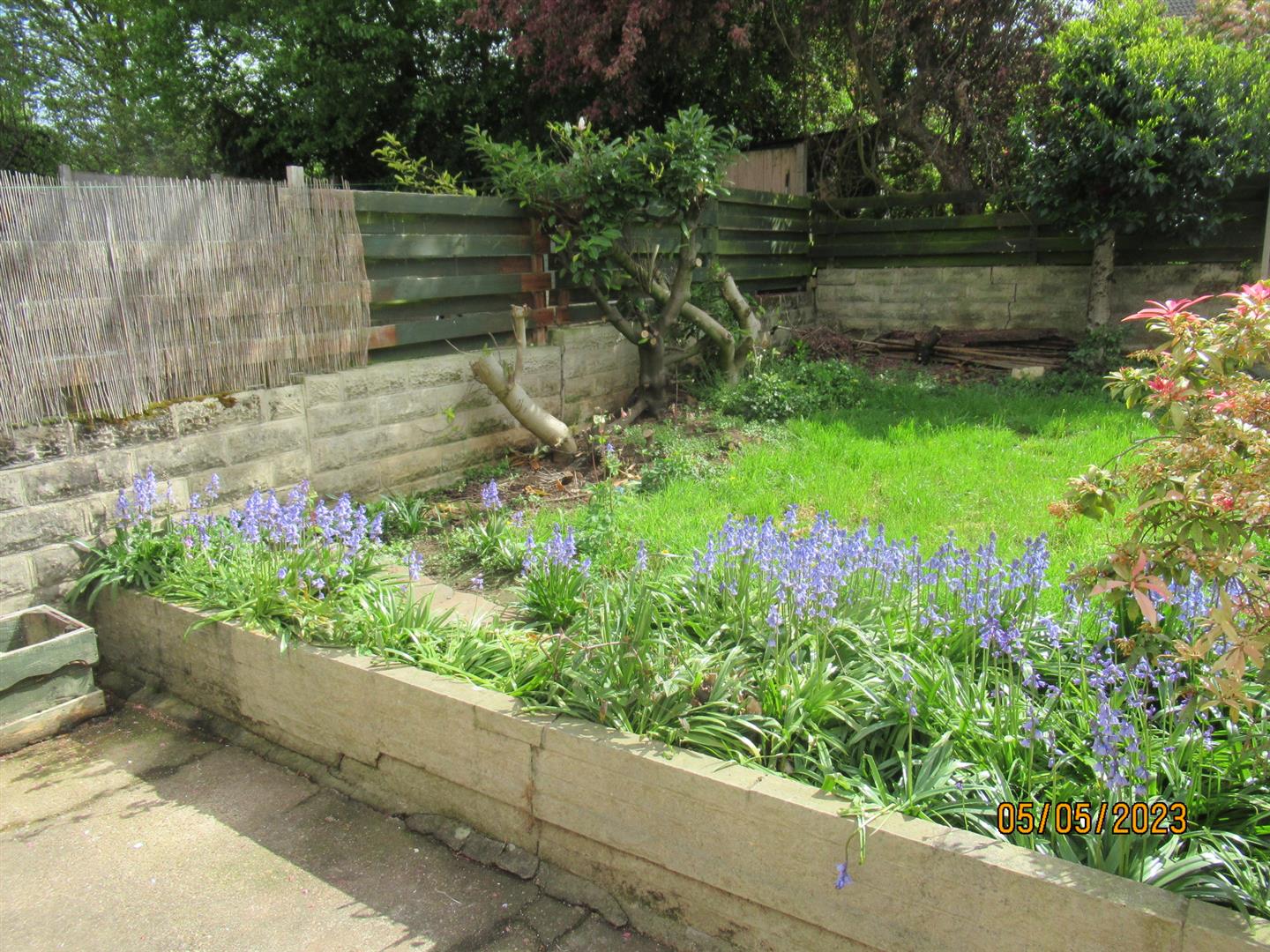 Property image for 19 Belmont Road