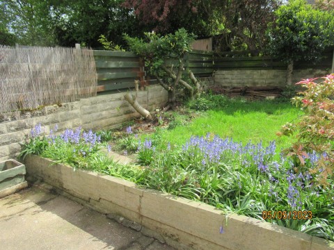 Property thumbnail image for 19 Belmont Road