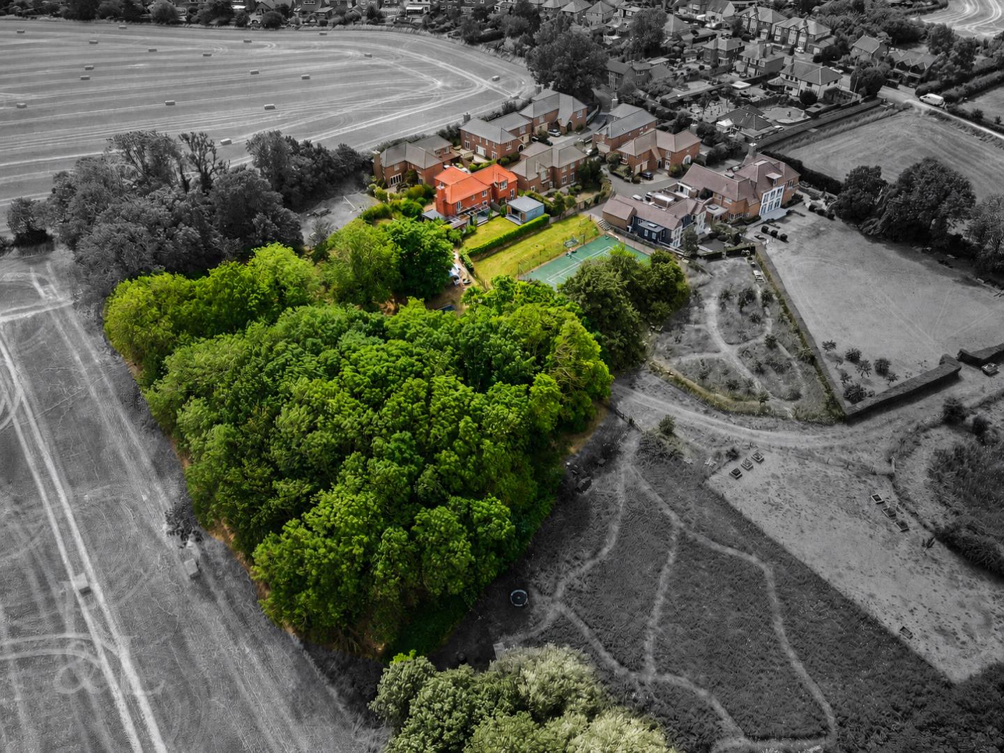 Property image for Oak Tree Court, Tollerton, Nottingham