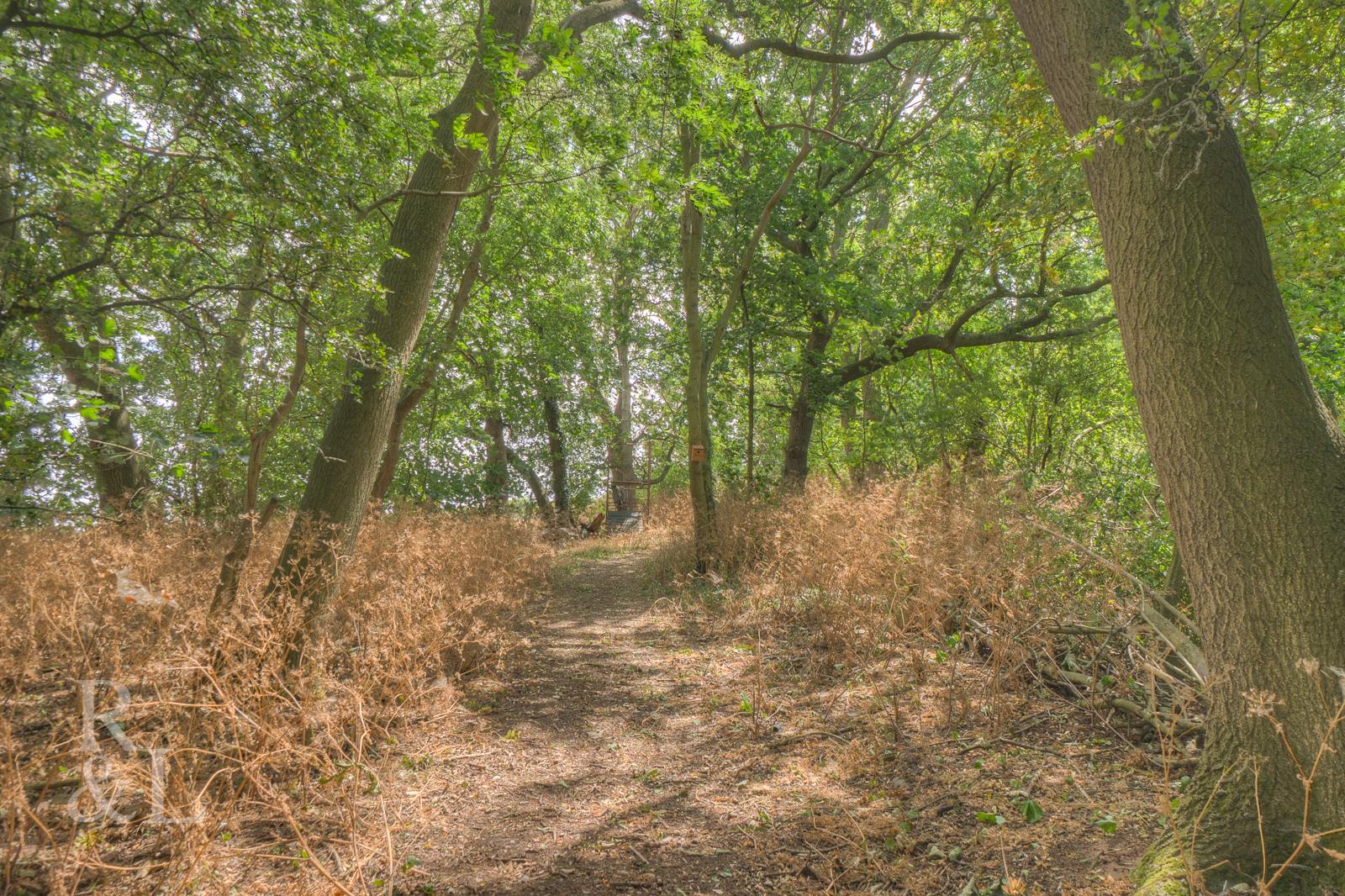 Property image for Oak Tree Court, Tollerton, Nottingham