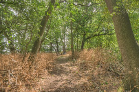 Property thumbnail image for Oak Tree Court, Tollerton, Nottingham