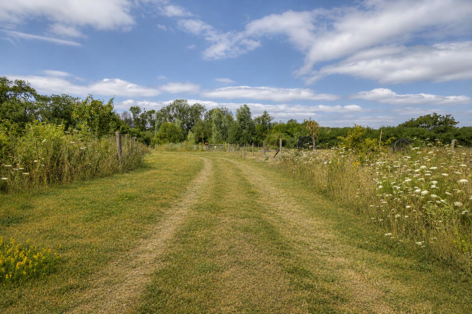 Property image for Oak Tree Court, Tollerton, Nottingham
