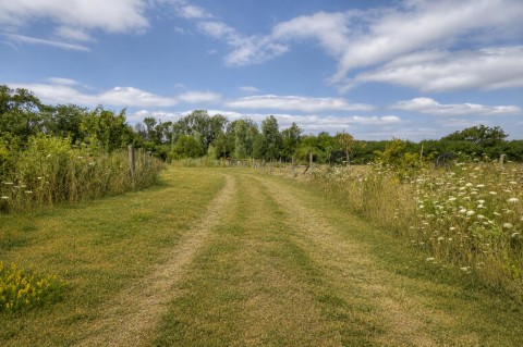 Property thumbnail image for Oak Tree Court, Tollerton, Nottingham