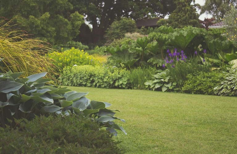 How to Make Your Garden Look Perfect for a House Viewing